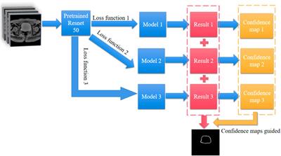 Data-limited and imbalanced bladder wall segmentation with confidence map-guided residual networks via transfer learning